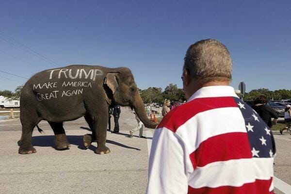 The Elephant In The Room